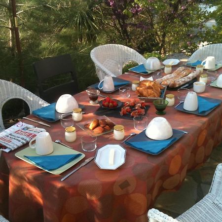 Bed and Breakfast L'Ostal Du Pic St Loup Saint-Jean-de-Cuculles Exterior foto